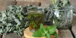 خواص دمنوش پونه برای مردان و زنان در طب سنتی مدرن