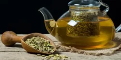خواص دمنوش رازیانه برای مردان و زنان در طب سنتی مدرن