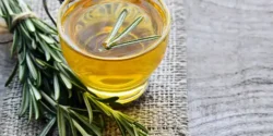 خواص دمنوش رزماری برای مردان و زنان در طب سنتی مدرن