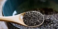 خواص دانه چیا برای مردان و زنان در طب سنتی مدرن