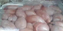 خواص گوشت دنبالچه برای مردان و زنان در طب سنتی مدرن