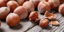 خواص فندق برای مردان و زنان در طب سنتی مدرن