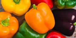 خواص فلفل دلمه ای برای مردان و زنان در طب سنتی مدرن