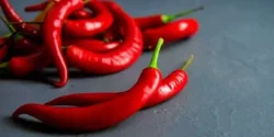 خواص فلفل قرمز برای مردان و زنان در طب سنتی مدرن
