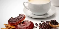 خواص قهوه گانودرما برای مردان و زنان در طب سنتی مدرن