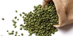 خواص قهوه سبز برای مردان و زنان در طب سنتی مدرن