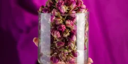 خواص غنچه گل محمدی برای مردان و زنان در طب سنتی مدرن