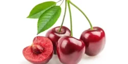 خواص گیلاس برای مردان و زنان در طب سنتی مدرن
