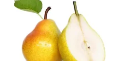 خواص گلابی برای مردان و زنان در طب سنتی مدرن
