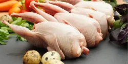 خواص گوشت بلدرچین برای مردان و زنان در طب سنتی مدرن