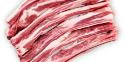 خواص گوشت دم شتر برای مردان و زنان در طب سنتی مدرن