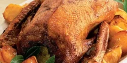 خواص گوشت غاز برای مردان و زنان در طب سنتی مدرن