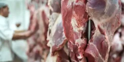 خواص گوشت غزال برای مردان و زنان در طب سنتی مدرن