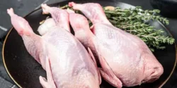 خواص گوشت کبک برای مردان و زنان در طب سنتی مدرن