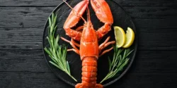 خواص گوشت خرچنگ برای مردان و زنان در طب سنتی مدرن