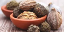 خواص هلیله سیاه برای مردان و زنان در طب سنتی و طب مدرن و مضرات هلیله سیاه