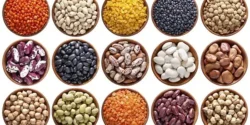 خواص حبوبات برای مردان و زنان در طب سنتی مدرن