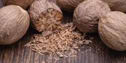خواص جوز هندی برای مردان و زنان در طب سنتی مدرن