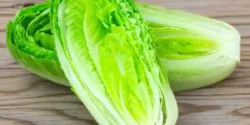 خواص کاهو برای مردان و زنان در طب سنتی مدرن