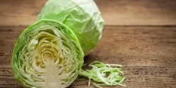 خواص کلم سفید برای مردان و زنان در طب سنتی مدرن
