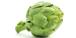 خواص کنگر فرنگی برای مردان و زنان در طب سنتی مدرن
