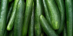خواص خیار برای مردان و زنان در طب سنتی مدرن