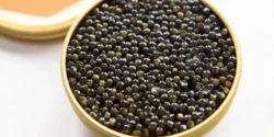 خواص خاویار برای مردان و زنان در طب سنتی مدرن