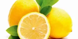 خواص لیمو سنگی برای مردان و زنان در طب سنتی مدرن