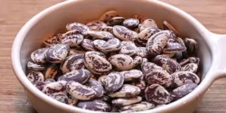 خواص لوبیا عروس برای مردان و زنان در طب سنتی مدرن