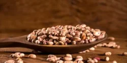 خواص لوبیا چیتی برای مردان و زنان در طب سنتی مدرن