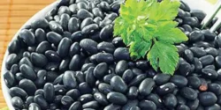 خواص لوبیا سیاه برای مردان و زنان در طب سنتی مدرن