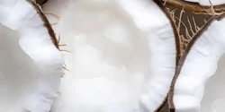 خواص نارگیل برای مردان و زنان در طب سنتی مدرن