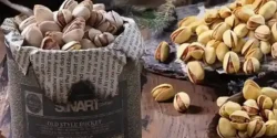 خواص پسته برای مردان و زنان در طب سنتی مدرن