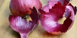 خواص پوست پیاز برای مردان و زنان در طب سنتی مدرن