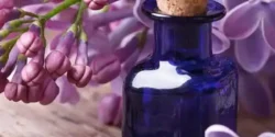 خواص روغن بنفشه برای مردان و زنان در طب سنتی مدرن