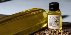 خواص روغن کرچک برای مردان و زنان در طب سنتی مدرن