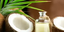 خواص روغن نارگیل برای مردان و زنان در طب سنتی مدرن