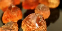 خواص صمغ عربی برای مردان و زنان در طب سنتی مدرن