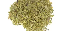 خواص سنا برای مردان و زنان در طب سنتی مدرن