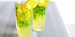 خواص سکنجبین برای مردان و زنان در طب سنتی مدرن