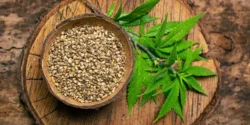 خواص شاهدانه برای مردان و زنان در طب سنتی مدرن