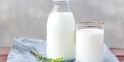 خواص شیر برای مردان و زنان در طب سنتی مدرن