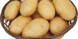 خواص سیب زمینی برای مردان و زنان در طب سنتی مدرن
