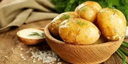 خواص سیب زمینی شیرین برای مردان و زنان در طب سنتی مدرن