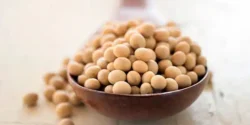 خواص سویا آجیلی برای مردان و زنان در طب سنتی مدرن