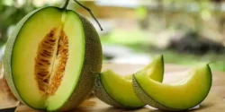 خواص طالبی برای مردان و زنان در طب سنتی مدرن
