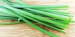 خواص تره برای مردان و زنان در طب سنتی مدرن