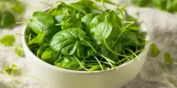 خواص تره تیزک برای مردان و زنان در طب سنتی مدرن