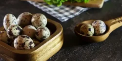 خواص تخم بلدرچین برای مردان و زنان در طب سنتی مدرن