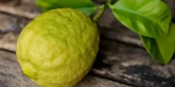 خواص ترنج برای مردان و زنان در طب سنتی مدرن